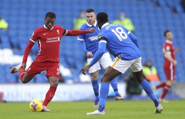 Nhận định Soi Kèo Liverpool vs Brighton, 03h15 ngày 04/02